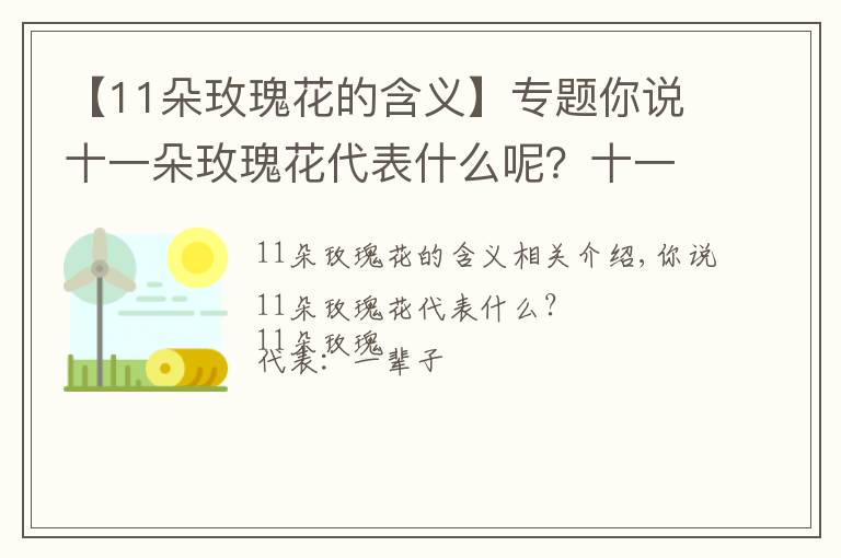 【11朵玫瑰花的含义】专题你说十一朵玫瑰花代表什么呢？十一朵玫瑰代表：一生一世