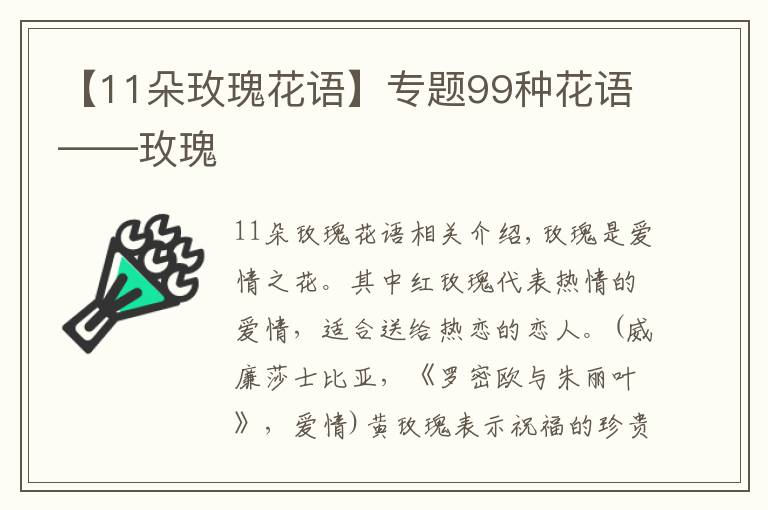 【11朵玫瑰花语】专题99种花语——玫瑰