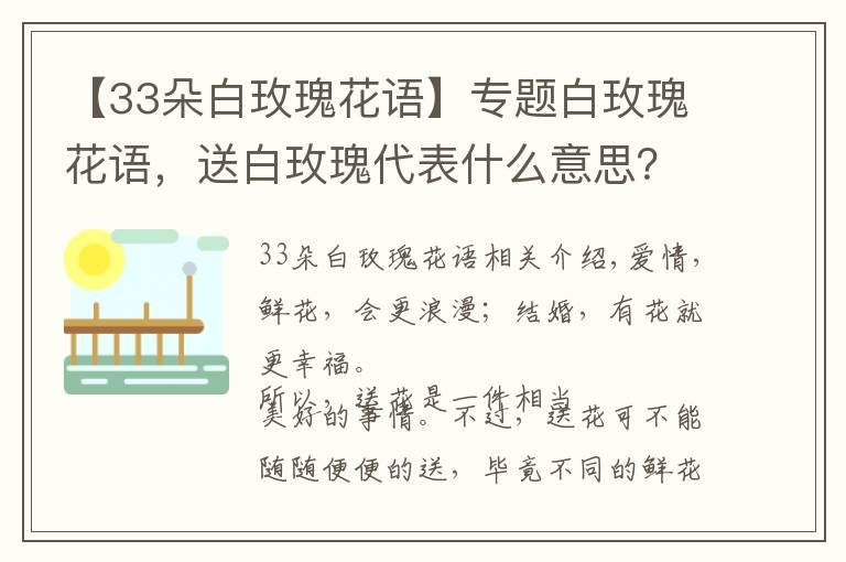 【33朵白玫瑰花语】专题白玫瑰花语，送白玫瑰代表什么意思？