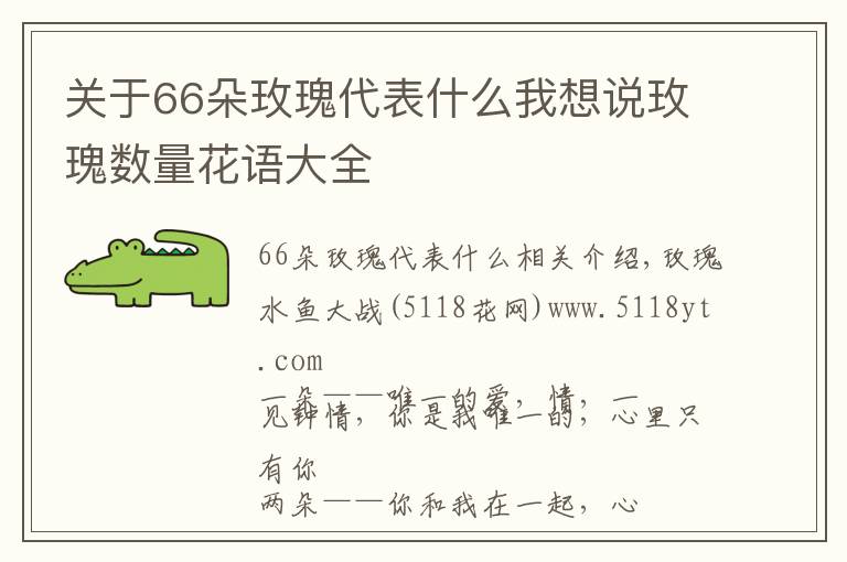 关于66朵玫瑰代表什么我想说玫瑰数量花语大全