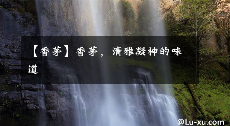 【香茅】香茅，清雅凝神的味道