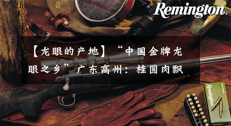 【龙眼的产地】“中国金牌龙眼之乡”广东高州：桂圆肉飘香海内外