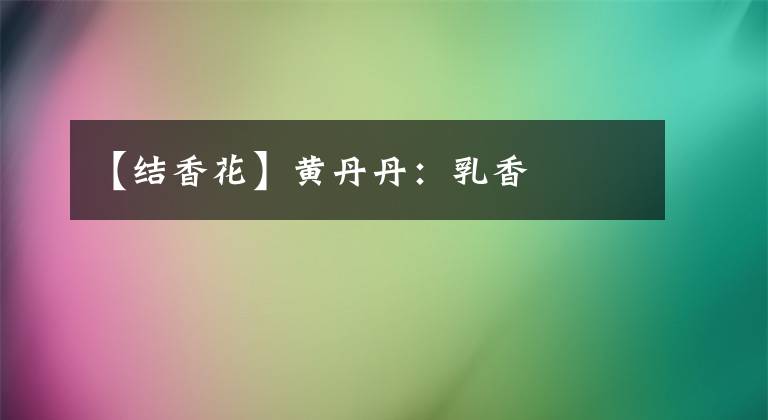 【结香花】黄丹丹：乳香