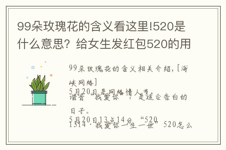 99朵玫瑰花的含义看这里!520是什么意思？给女生发红包520的用意 男生520表白方式攻略