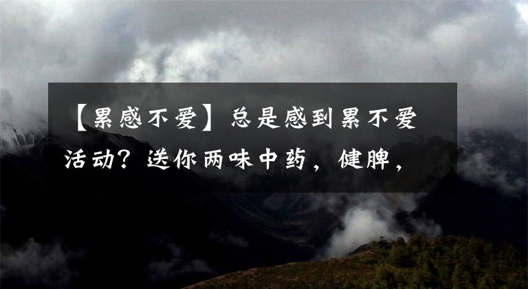 【累感不爱】总是感到累不爱活动？送你两味中药，健脾，祛湿，补气，湿去力强