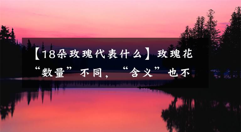 【18朵玫瑰代表什么】玫瑰花“数量”不同，“含义”也不同，送错了容易闹笑话