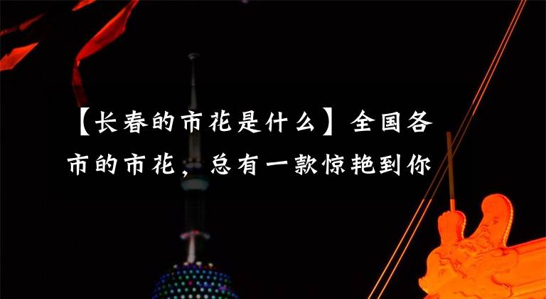 【长春的市花是什么】全国各市的市花，总有一款惊艳到你！你家乡是什么花？