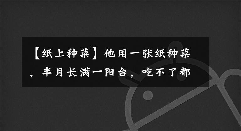 【纸上种菜】他用一张纸种菜，半月长满一阳台，吃不了都送人了