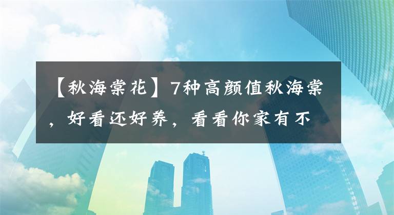 【秋海棠花】7种高颜值秋海棠，好看还好养，看看你家有不？