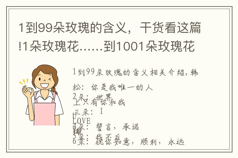 1到99朵玫瑰的含义，干货看这篇!1朵玫瑰花……到1001朵玫瑰花，都代表什么，你知道吗？