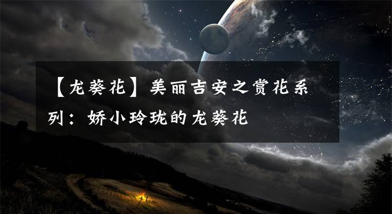 【龙葵花】美丽吉安之赏花系列：娇小玲珑的龙葵花