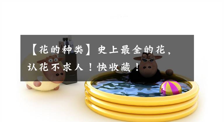 【花的种类】史上最全的花，认花不求人！快收藏！