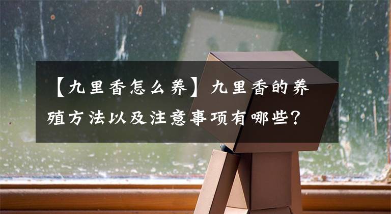 【九里香怎么养】九里香的养殖方法以及注意事项有哪些？