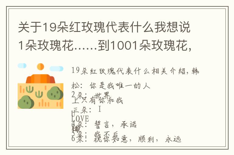 关于19朵红玫瑰代表什么我想说1朵玫瑰花……到1001朵玫瑰花，都代表什么，你知道吗？