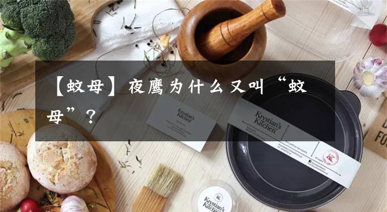 【蚊母】夜鹰为什么又叫“蚊母”？