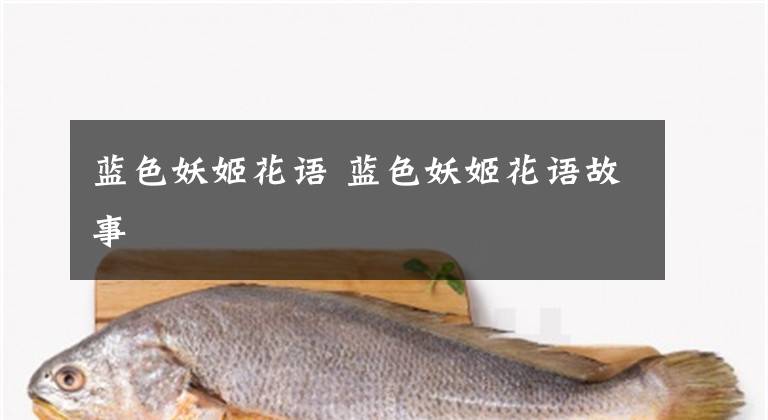 蓝色妖姬花语 蓝色妖姬花语故事