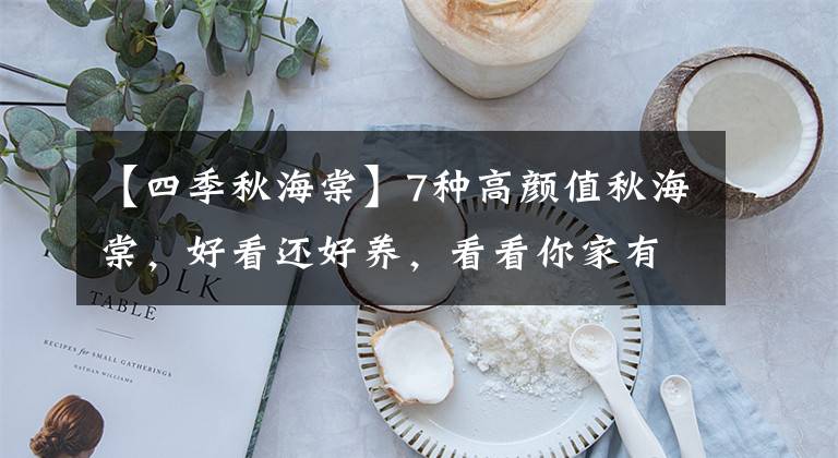 【四季秋海棠】7种高颜值秋海棠，好看还好养，看看你家有不？