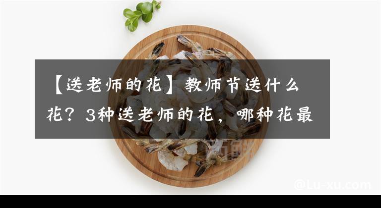 【送老师的花】教师节送什么花？3种送老师的花，哪种花最能表达对老师的感激？