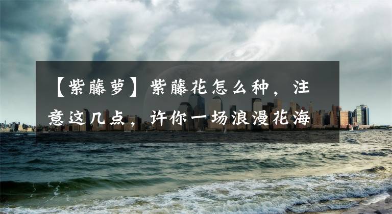 【紫藤萝】紫藤花怎么种，注意这几点，许你一场浪漫花海