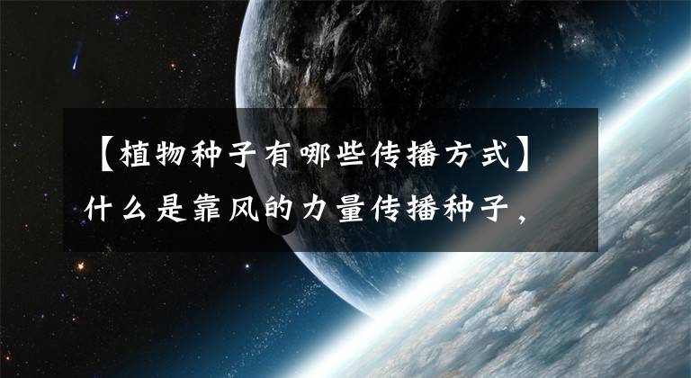 【植物种子有哪些传播方式】什么是靠风的力量传播种子，植物还有哪些传播种子的方式？