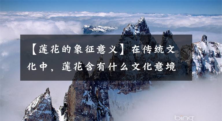 【莲花的象征意义】在传统文化中，莲花含有什么文化意境？有什么现实意义