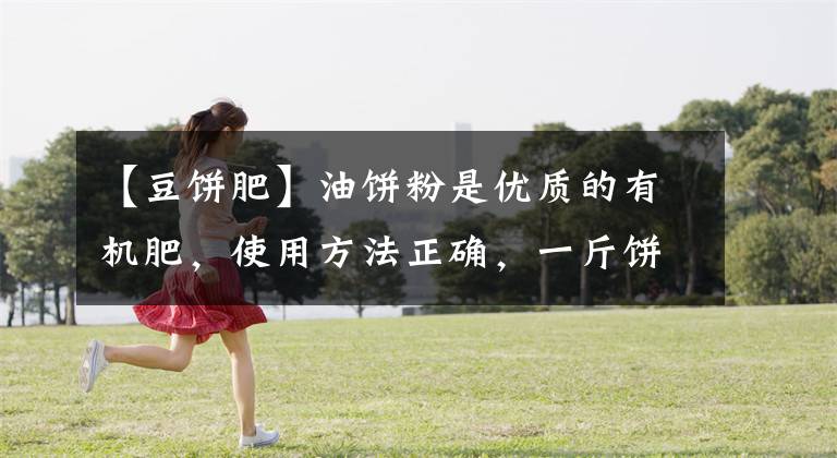 【豆饼肥】油饼粉是优质的有机肥，使用方法正确，一斤饼肥胜过一斤复合肥