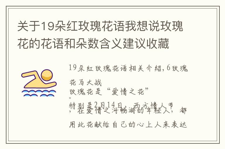 关于19朵红玫瑰花语我想说玫瑰花的花语和朵数含义建议收藏