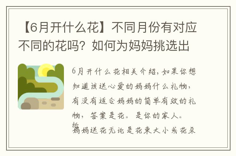 【6月开什么花】不同月份有对应不同的花吗？如何为妈妈挑选出生月份的花？