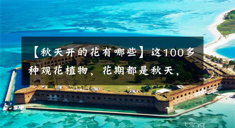 【秋天开的花有哪些】这100多种观花植物，花期都是秋天，此时不养更待何时