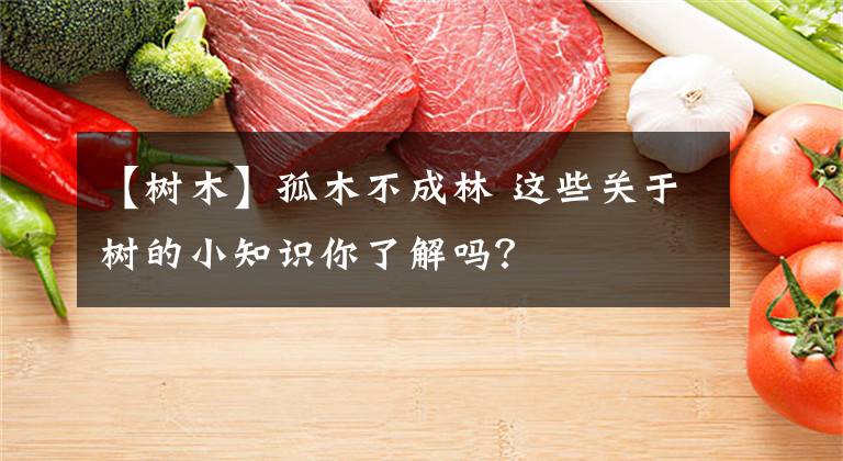 【树木】孤木不成林 这些关于树的小知识你了解吗？