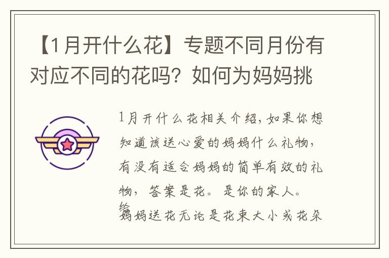 【1月开什么花】专题不同月份有对应不同的花吗？如何为妈妈挑选出生月份的花？