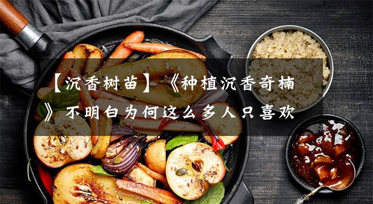 【沉香树苗】《种植沉香奇楠》不明白为何这么多人只喜欢观望不喜欢去尝试