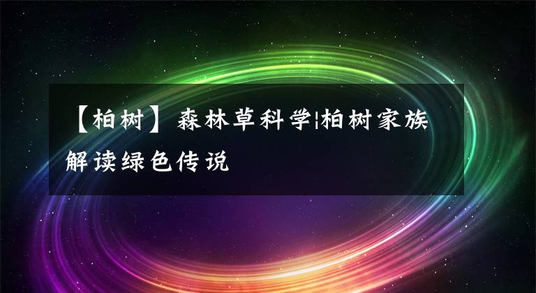 【柏树】森林草科学|柏树家族解读绿色传说