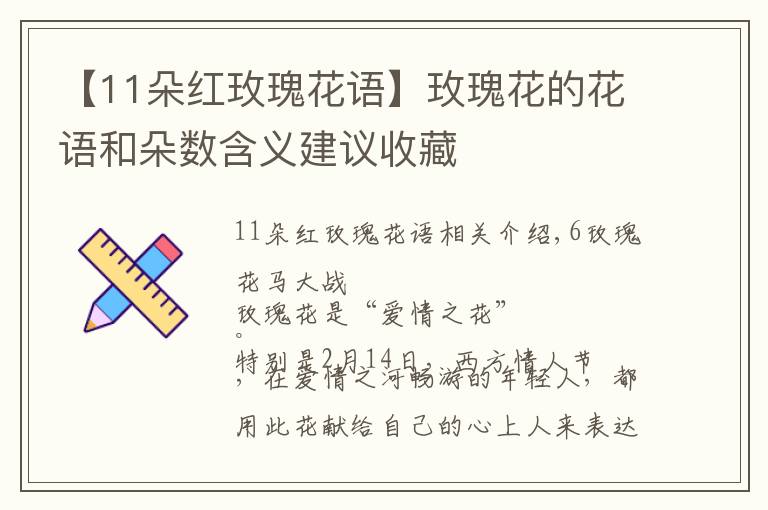 【11朵红玫瑰花语】玫瑰花的花语和朵数含义建议收藏