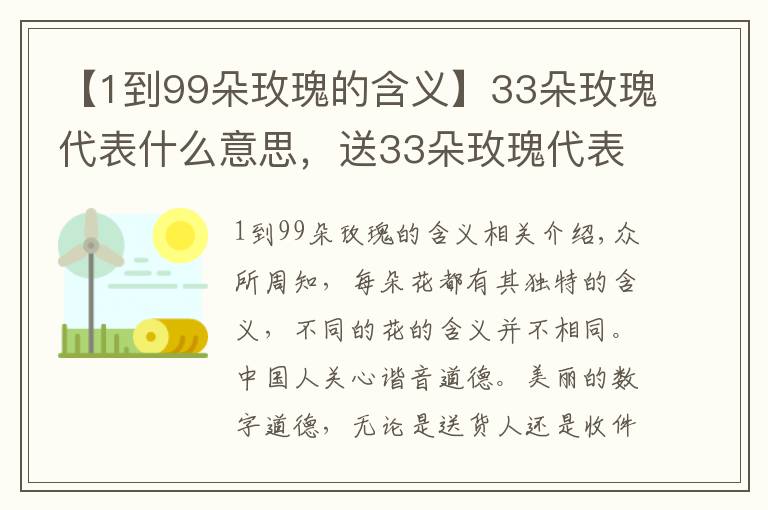 【1到99朵玫瑰的含义】33朵玫瑰代表什么意思，送33朵玫瑰代表什么（生生世世的爱）