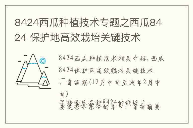 8424西瓜种植技术专题之西瓜8424 保护地高效栽培关键技术