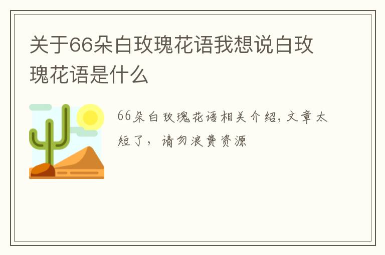 关于66朵白玫瑰花语我想说白玫瑰花语是什么