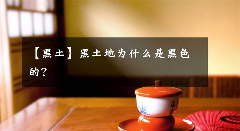 【黑土】黑土地为什么是黑色的？