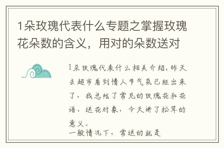 1朵玫瑰代表什么专题之掌握玫瑰花朵数的含义，用对的朵数送对的人！