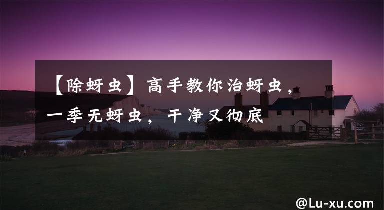 【除蚜虫】高手教你治蚜虫，一季无蚜虫，干净又彻底