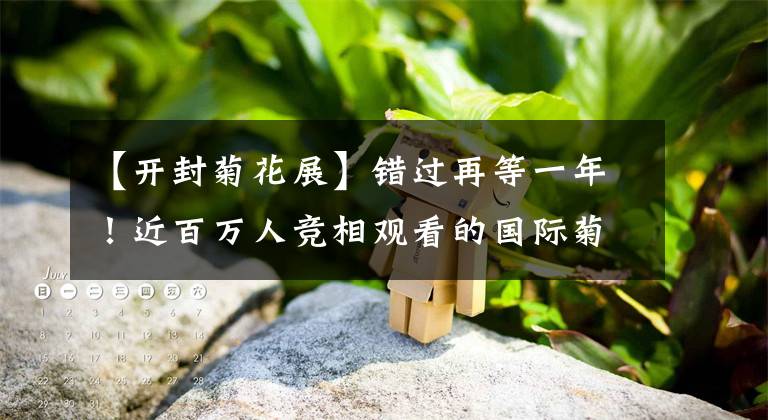 【开封菊花展】错过再等一年！近百万人竞相观看的国际菊花展就在河南开封清明上河园