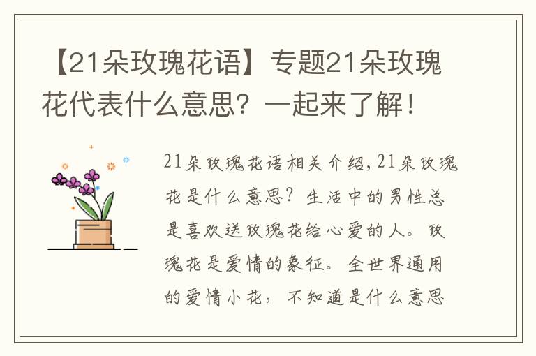 【21朵玫瑰花语】专题21朵玫瑰花代表什么意思？一起来了解！