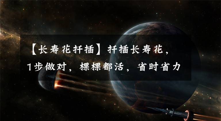 【长寿花扦插】扦插长寿花，1步做对，棵棵都活，省时省力，太简单了