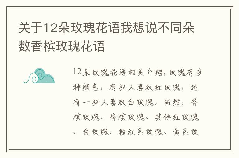 关于12朵玫瑰花语我想说不同朵数香槟玫瑰花语