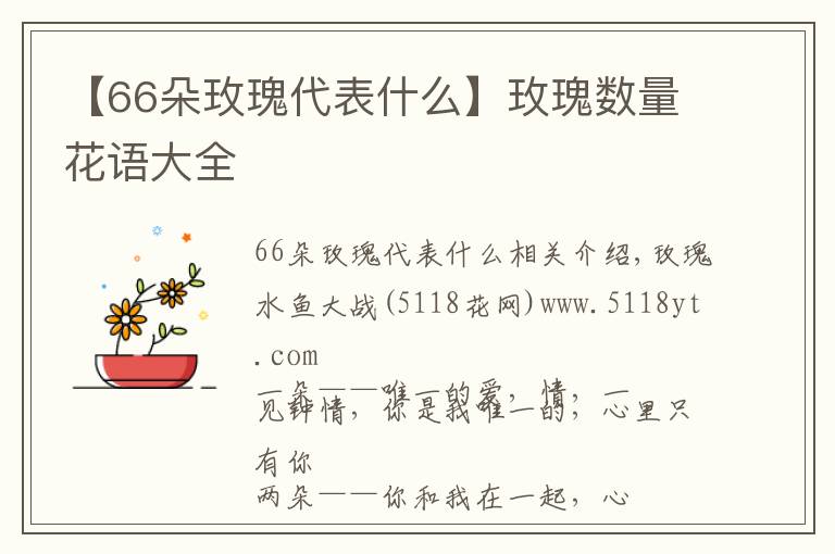 【66朵玫瑰代表什么】玫瑰数量花语大全