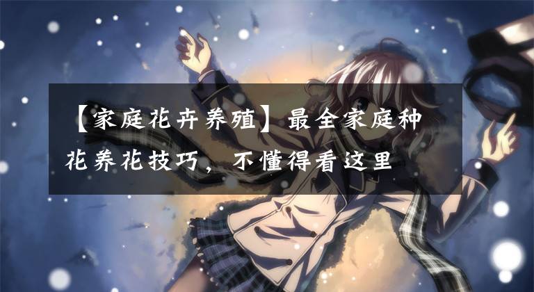 【家庭花卉养殖】最全家庭种花养花技巧，不懂得看这里