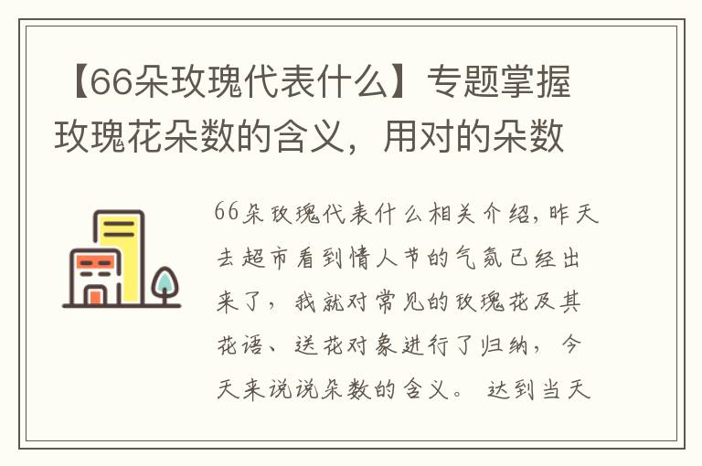 【66朵玫瑰代表什么】专题掌握玫瑰花朵数的含义，用对的朵数送对的人！