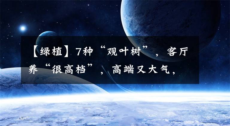 【绿植】7种“观叶树”，客厅养“很高档”，高端又大气，吸光了废气