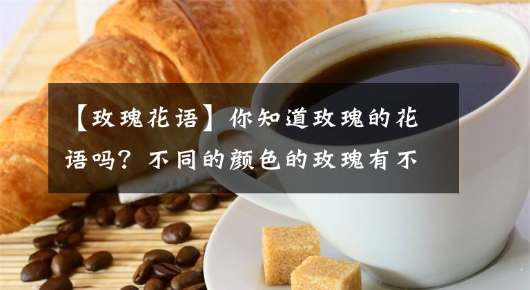 【玫瑰花语】你知道玫瑰的花语吗？不同的颜色的玫瑰有不同的含义