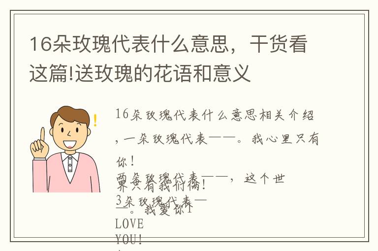 16朵玫瑰代表什么意思，干货看这篇!送玫瑰的花语和意义